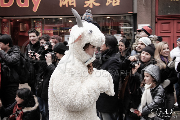 CJM-20120129-1029089