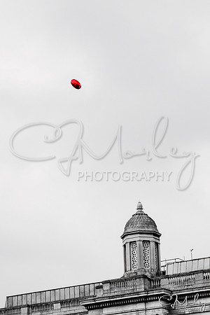 CJM-20120129-1029227