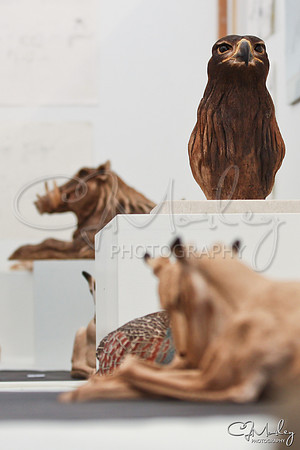 CJM-20100716-1003086