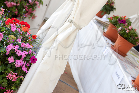 CJM-20100716-1003122