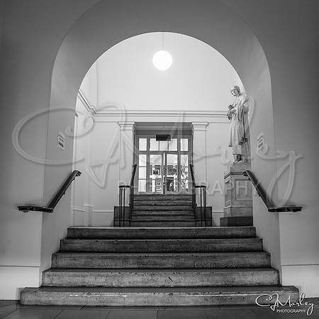 CJM-20121208-4662