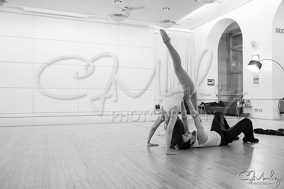 CJM-20121208-4904