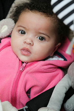 CJM-20130316-9530