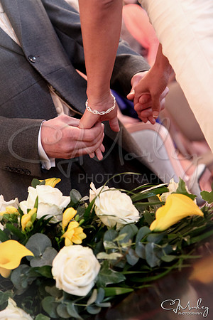 CJM-20110513-1018842
