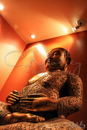 CJM-20100314-5085