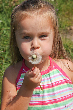 2011_08_29-1025548