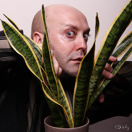 CJM-20120308-0544