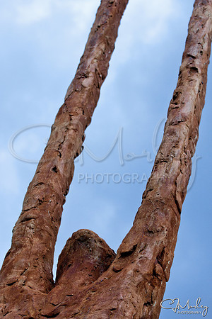 CJM-20100717-1003728